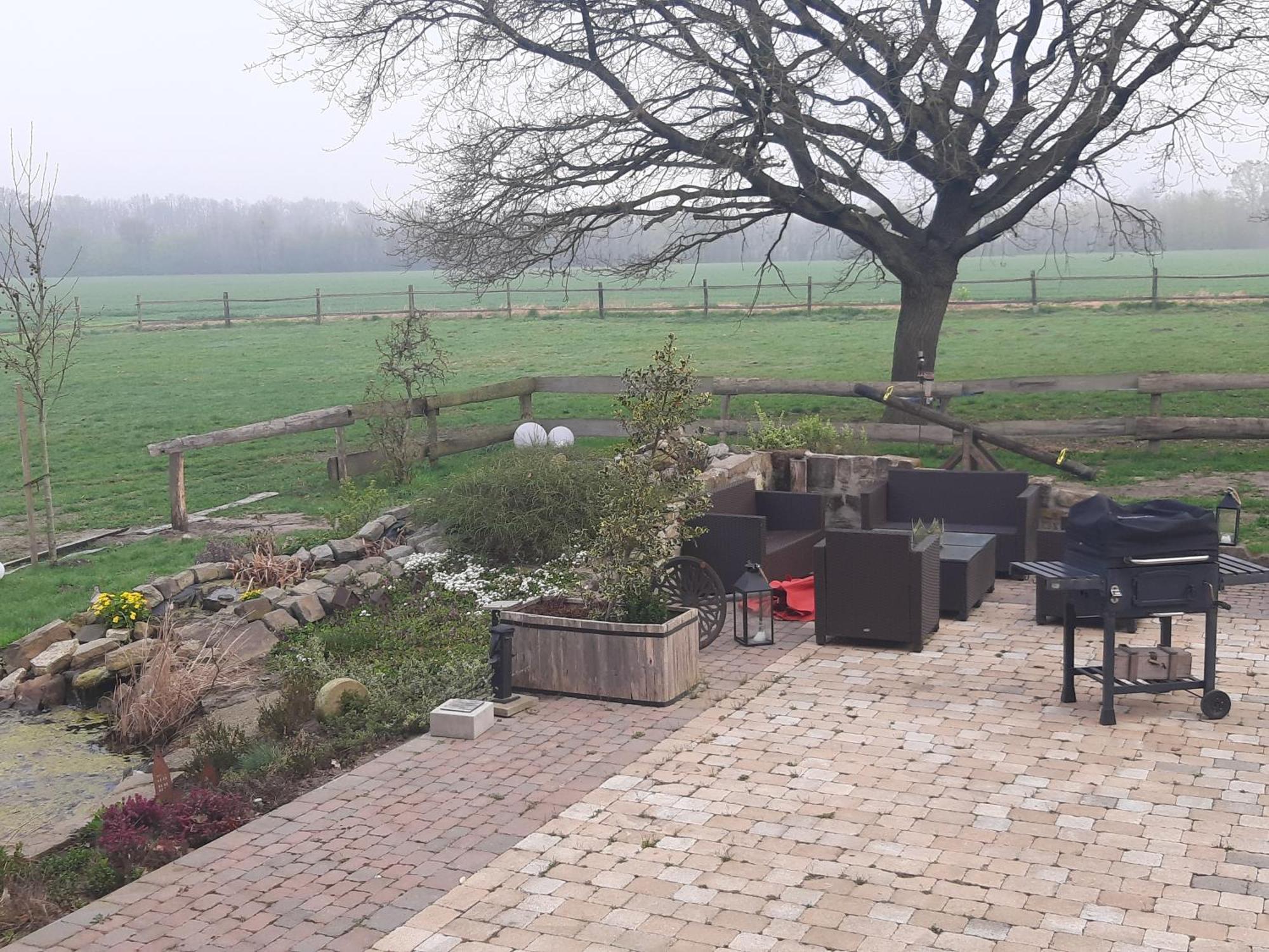 Ferienwohnungen Und Zimmer Hof Holtmann Munster  Phòng bức ảnh