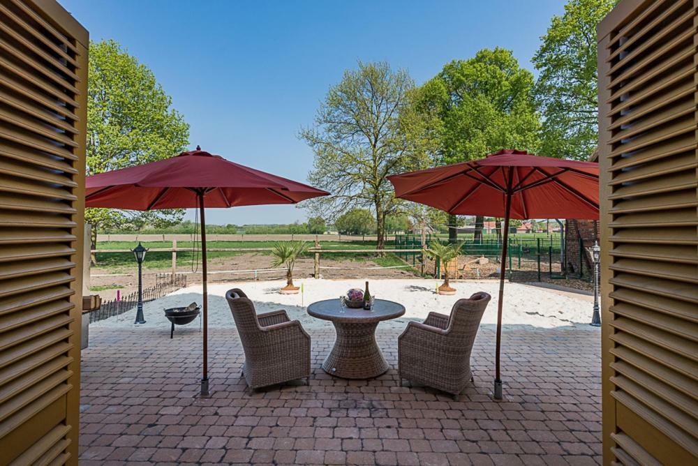 Ferienwohnungen Und Zimmer Hof Holtmann Munster  Ngoại thất bức ảnh